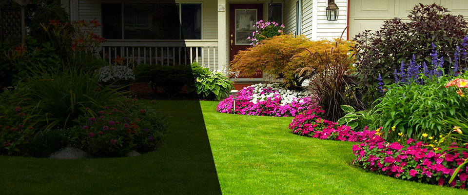 Mohave Valley Landscapers