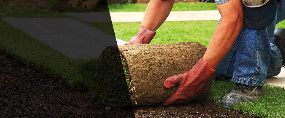 Mohave Valley Landscapers